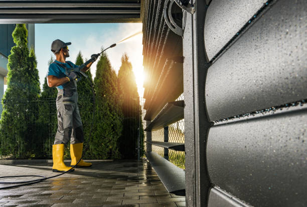 Best Roof Washing  in Nutter Fort, WV